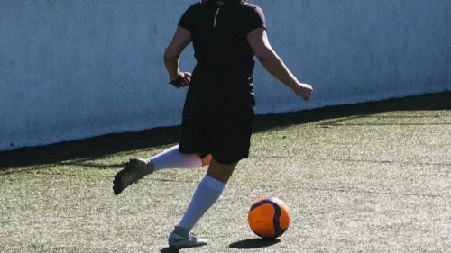 inline-img-2